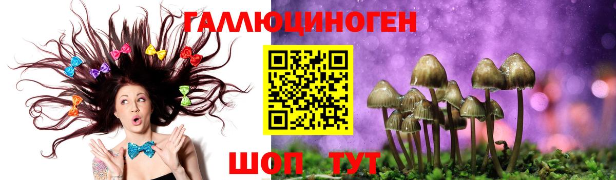 Гагарин  Псилоцибиновые грибы Psilocybine cubensis  Вход с VPN 
